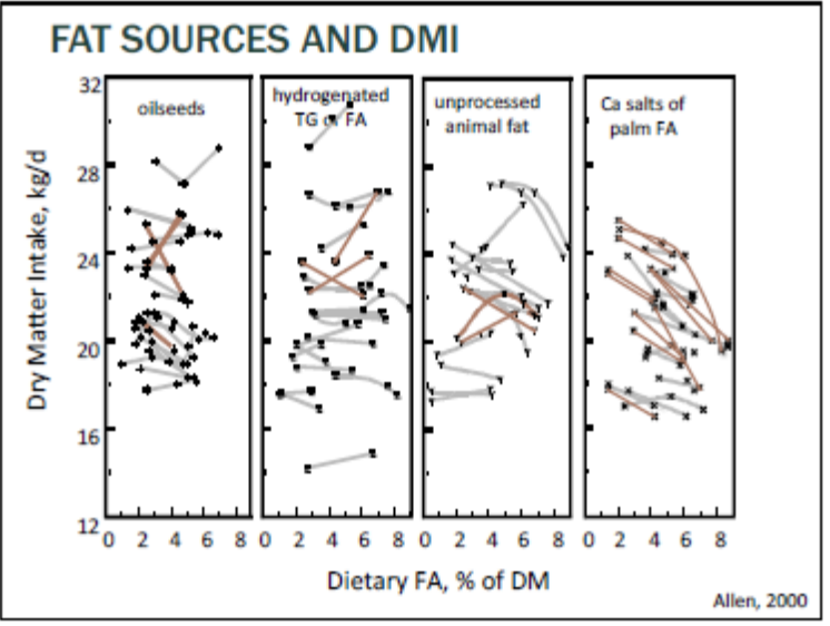 Fat Source and Dmi